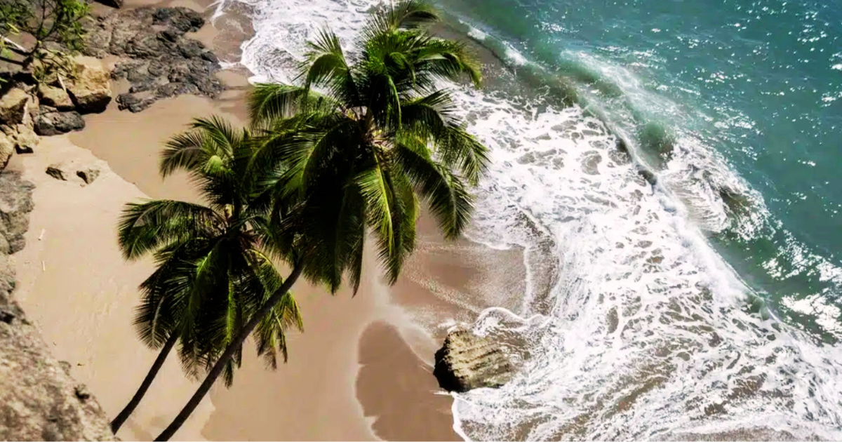Tropical coastline getaway